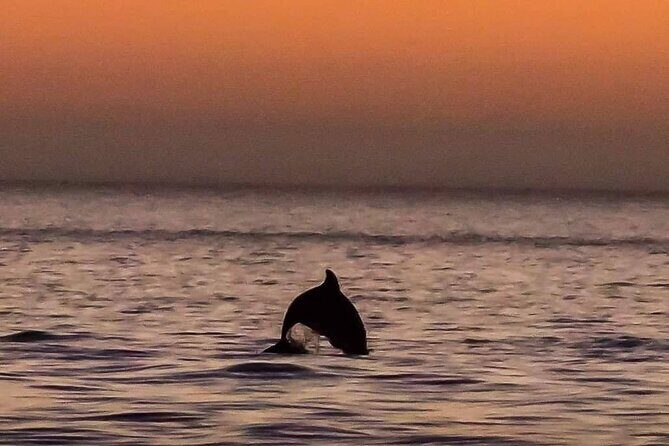 Scenic Sunset Cruise from Historic Johns Pass, Free Beer and Wine - What You Can Expect on This Sunset Cruise