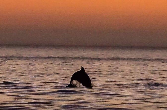 Scenic Sunset Cruise from Historic Johns Pass, Free Beer and Wine - Who Will Love This?