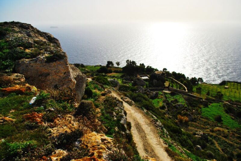 Scenic Tour by Vintage Bus to Buskett Garden & Dingli Cliffs - Who Should Consider This Tour?