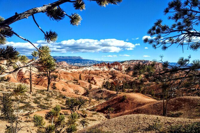Scenic Tour of Bryce Canyon - What to Expect from the Bryce Canyon Scenic Tour