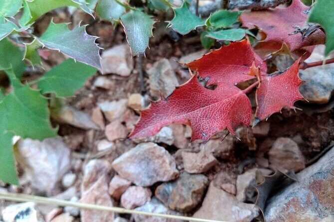 Scenic Tour of Bryce Canyon - The Downsides to Consider