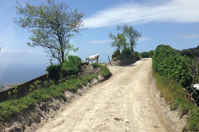 Scenic Trails of Sete Cidades: Half-Day Jeep Adventure - FAQs