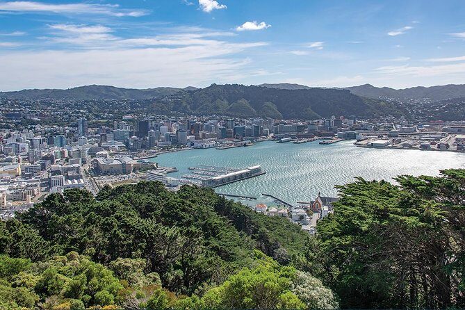 Scenic Wellington Helicopter Flight - Practical Details You Should Know