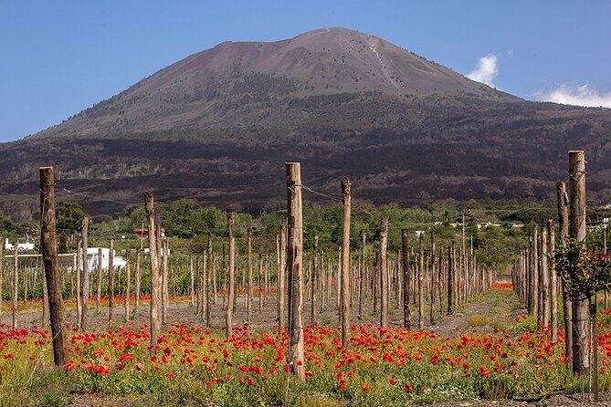 Scenic Wine Tasting & Lunch on the Slopes of Vesuvius from Naples - Final Thoughts
