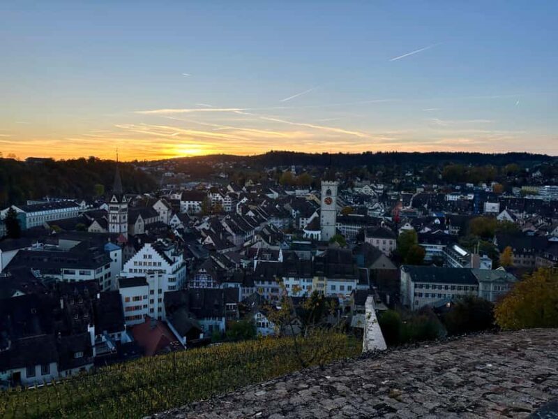 Schaffhausen & Rhine Largest Falls Private Tour | From Basel - Key Points