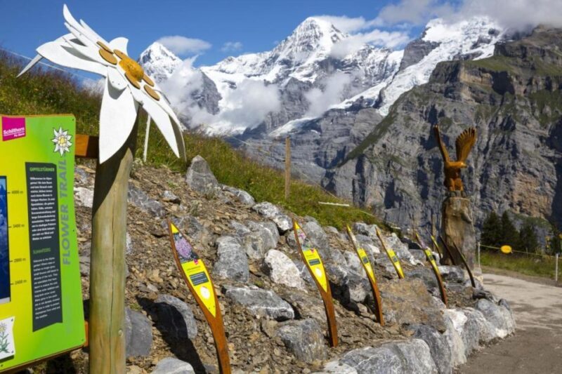 Schilthorn Day Trip and Bond World 007 from Geneva - Final Thoughts