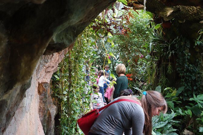 Schmetterlinghaus - Imperial Butterfly House Vienna Admission Ticket - FAQs