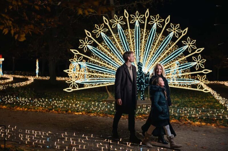 Schönbrunn: Imperial Lights - Lightgarden - The Details: Timing, Accessibility, and Practical Tips