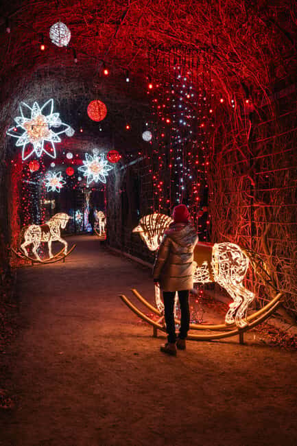 Schönbrunn: Imperial Lights - Lightgarden - Final Thoughts