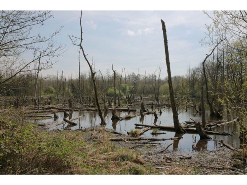 Schwalmtal: Brüggen Lakeside Segway Tour - FAQ