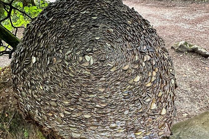 Scone Palace, Nature, Pitlochry, Whisky Experience from Edinburgh - Exploring Small Town Charm in Pitlochry