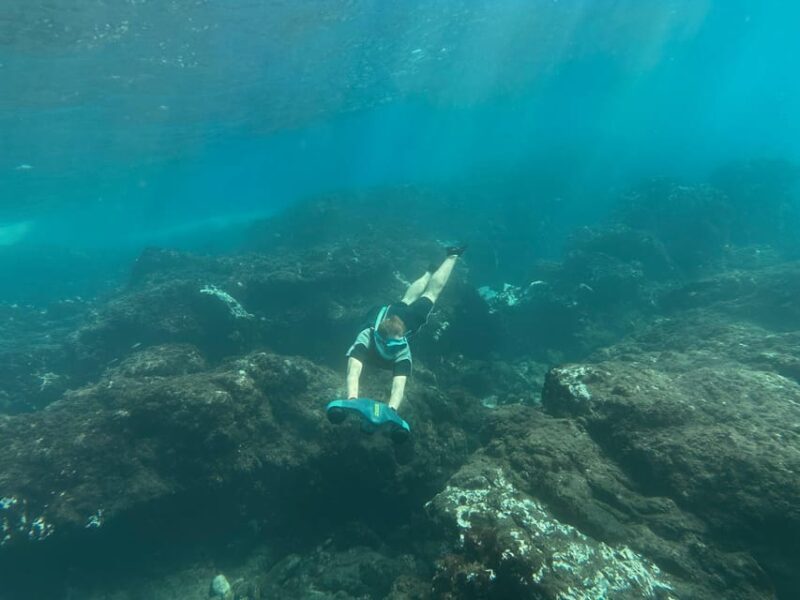 Scooter fun snorcel tour in turtle area - Breaking Down the Price and Value