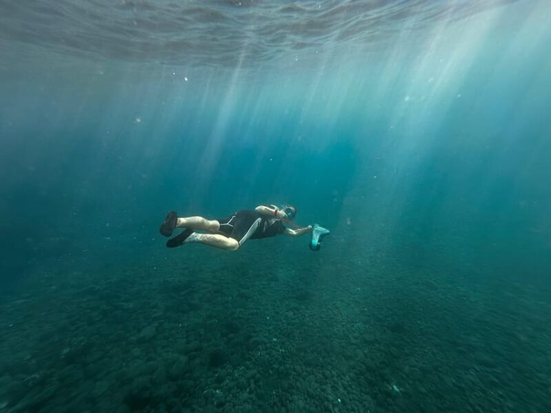 Scooter fun snorcel tour in turtle area - Detailed Itinerary and What to Expect