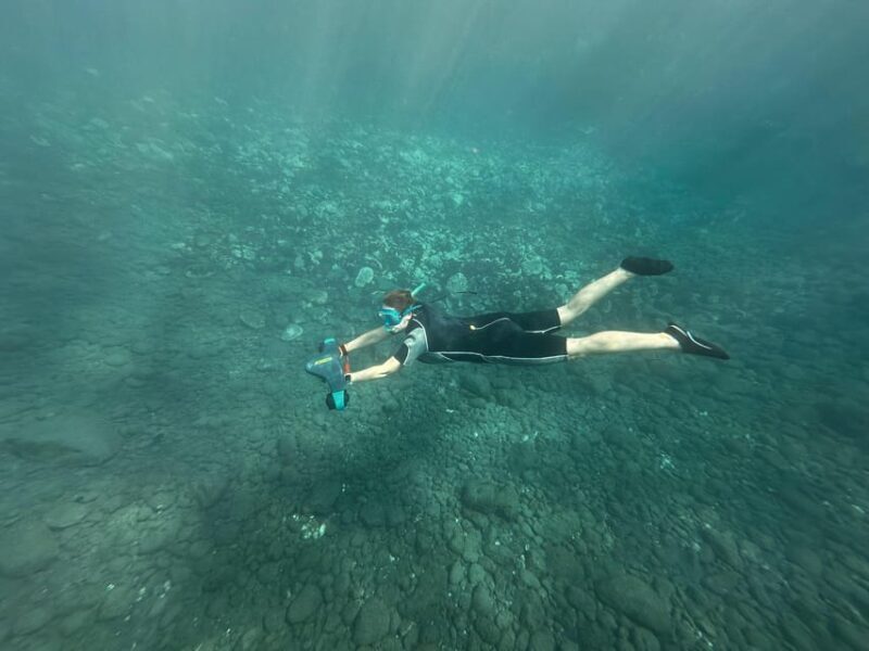 Scooter fun snorcel tour in turtle area - Frequently Asked Questions