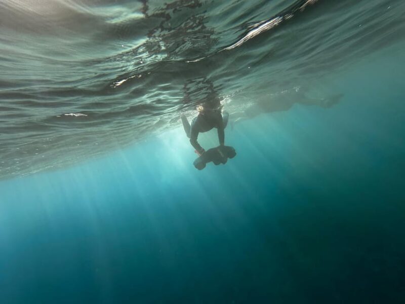 Scooter fun snorcel tour in turtle area - Final thoughts