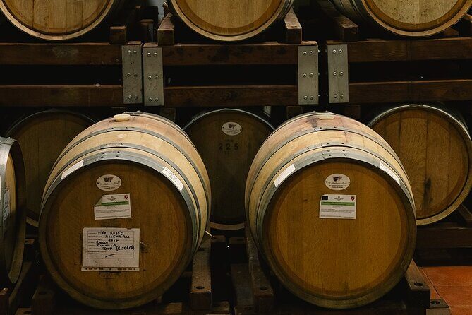 Scoprire la Vera Tintilia del Molise, Autentico ed Eccellenso - A Deep Dive into the Experience