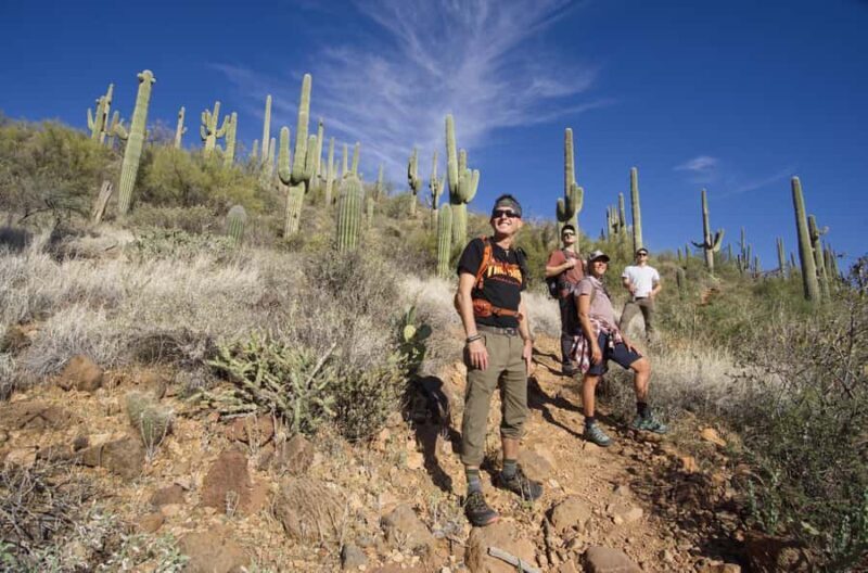 Scottsdale: Desert Classic Guided Hike | Amazing Scenery! - The Sum Up
