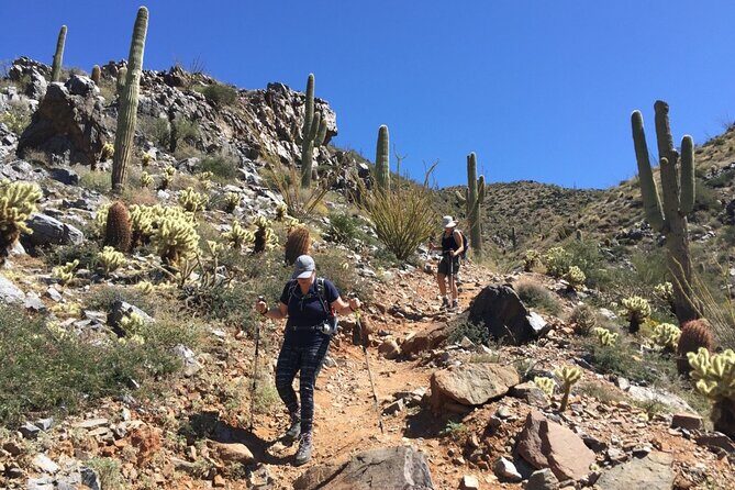 Scottsdale Desert Classic Guided Hiking Adventure - Key Points
