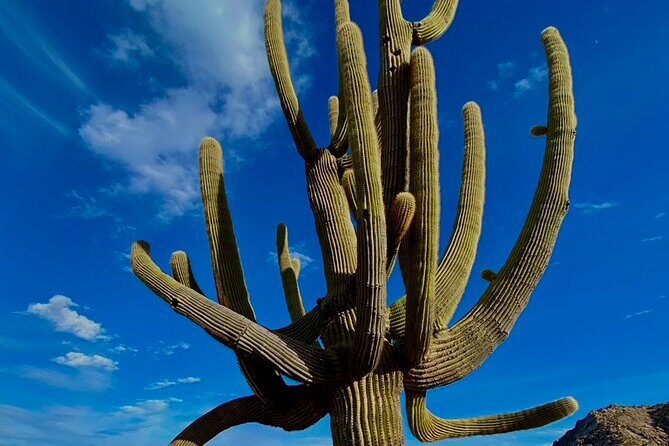 Scottsdale Desert Classic Guided Hiking Adventure - Frequently Asked Questions