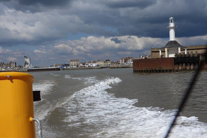 Scroby Sands Seal Watching - Authentic Feedback from Travelers