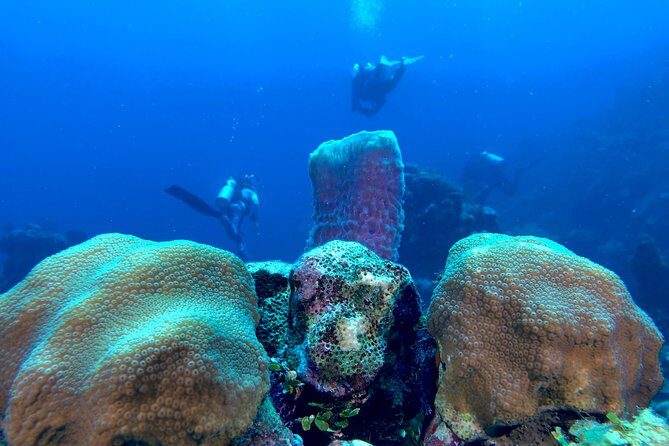 Scuba Certification - FAQ