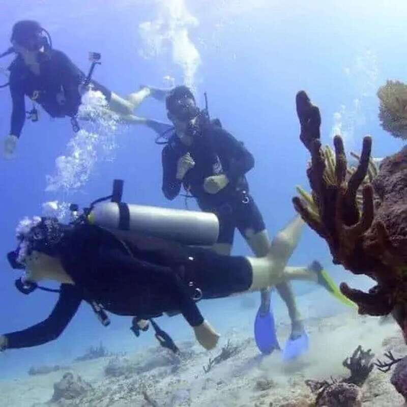 Scuba Cozumel: Experience from Boat, for Certified Divers - Equipment and Additional Costs