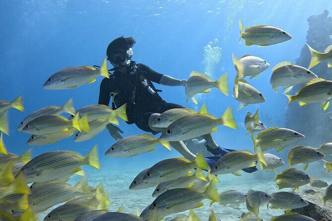 SCUBA Dive at Electric Beach with Photos -No Certification Needed - Key Points