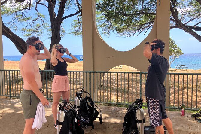 SCUBA Dive at Electric Beach with Photos -No Certification Needed - The Sum Up