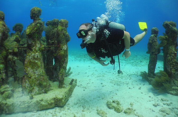 Scuba Dive at Musa Cancun for Certified Divers - The Value and Who Should Consider It