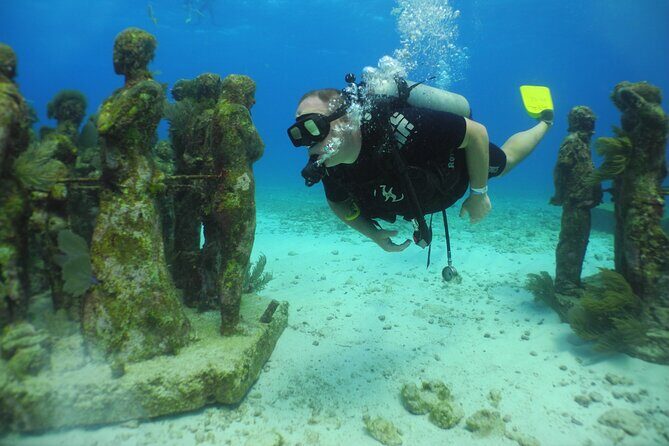 Scuba Dive at Musa Cancun for Certified Divers - FAQs