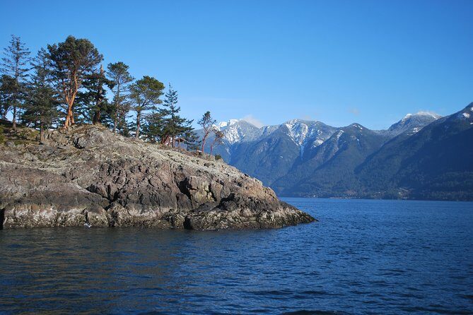 Scuba Dive Boat Charter in Vancouver (Certified Divers Only!) - Pricing and Value