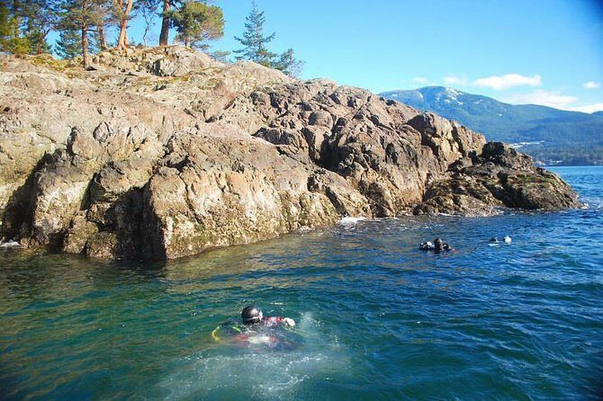 Scuba Dive Boat Charter in Vancouver (Certified Divers Only!) - The Sum Up