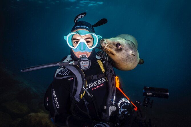 Scuba Dive in La Paz: Sea Lions, Turtles, Fish Schools and Wrecks - Who Is This Tour Best Suited For?