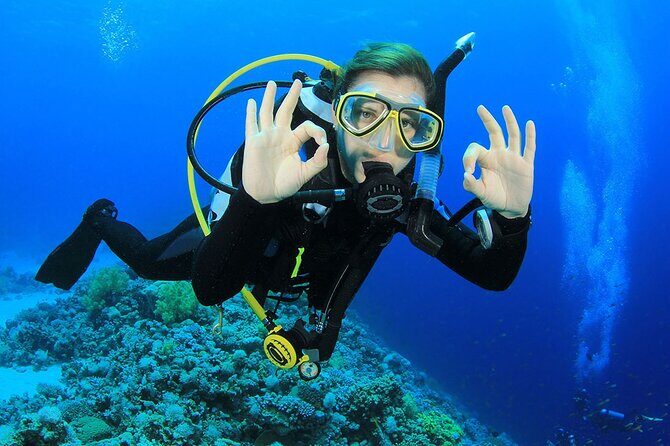 Scuba Dive in the best reefs in the Riviera Maya 2 tanks - FAQ