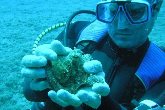 SCUBA DIVE: Kallithea's Underwater Exploration - Authentic Feedback from Travelers