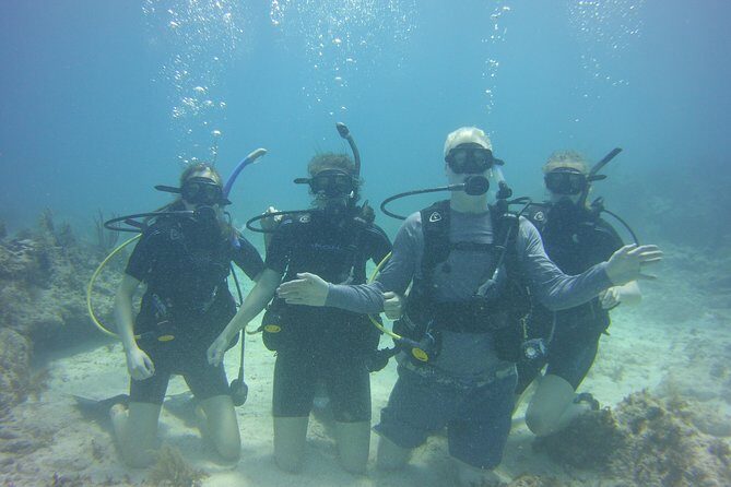 SCUBA Dive Key Largo Reef (min 6 divers) - The Itinerary Breakdown