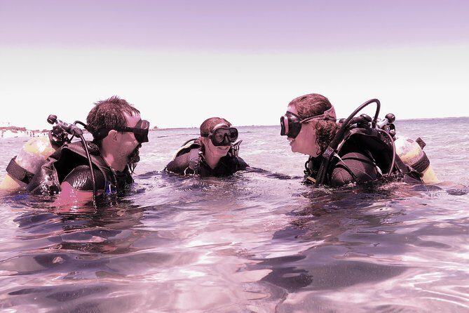 Scuba Dive The Beautiful Rottnest Island for Certified divers - What Makes This Tour Stand Out?