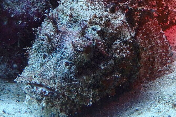 Scuba Diver Certification Course - Final Thoughts