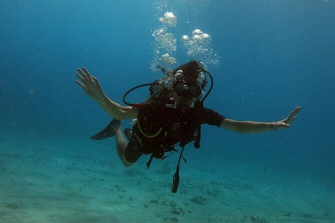 Scuba Diving (1st time) in Cancun Beginner's WELCOMED! - Why This Tour Stands Out