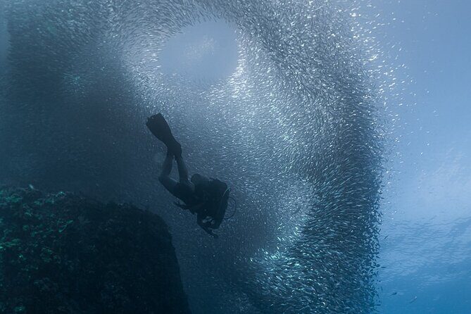 Scuba Diving - Who Will Love This Tour?