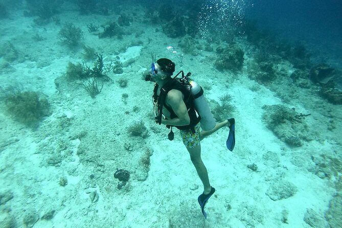 Scuba Diving Adventure in Riviera Maya Small Group Experience - What is this scuba tour all about?