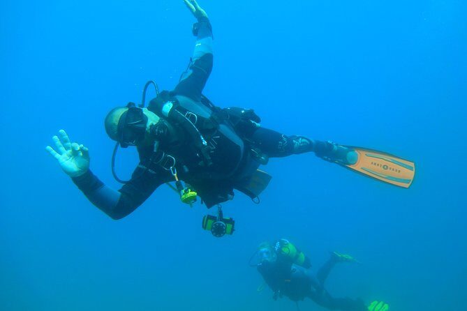 Scuba Diving Albufeira-Double Dive Trip - What to Expect from the Tour