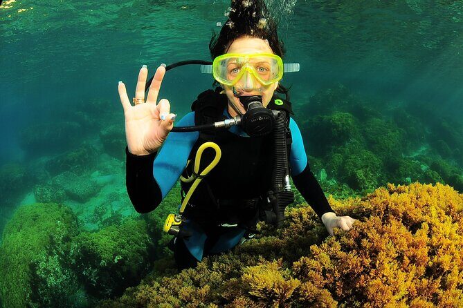 Scuba Diving Baptism and Snorkeling in Ibiza - Who Should Consider This Tour?
