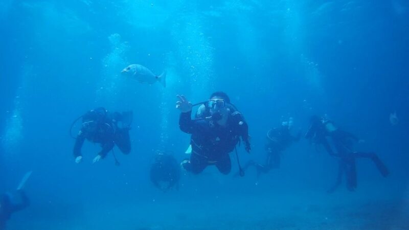Scuba Diving Baptism in Caleta de Fuste - Discovering the Scuba Diving Baptism in Caleta de Fuste: An Honest Look
