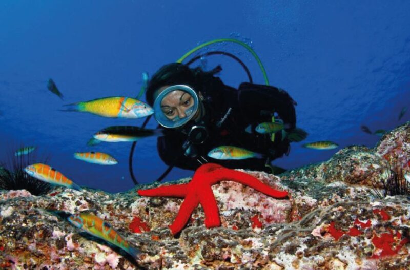 Scuba Diving Baptism in Caleta de Fuste - What You Can Expect from the Caleta de Fuste Scuba Baptism