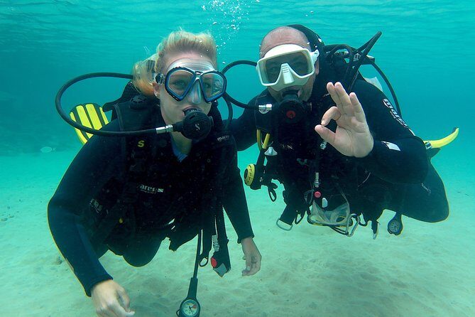 Scuba Diving (Basic Diver - 2 dives) - The Equipment and Logistics