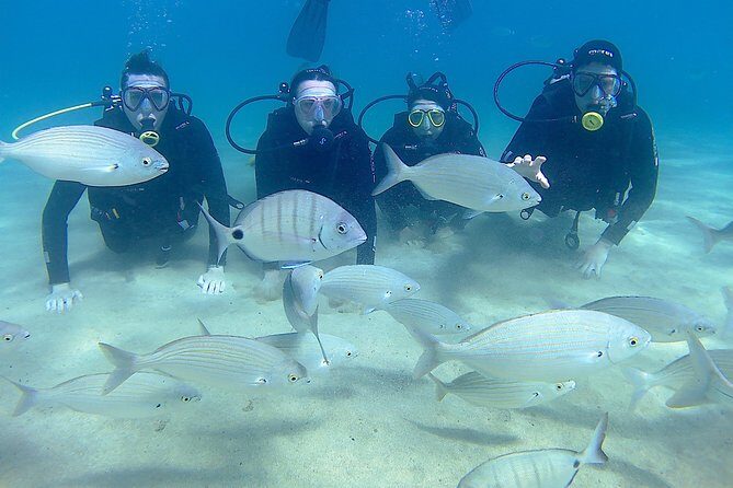 Scuba Diving (Basic Diver - 2 dives) - Who Should Consider This Tour?