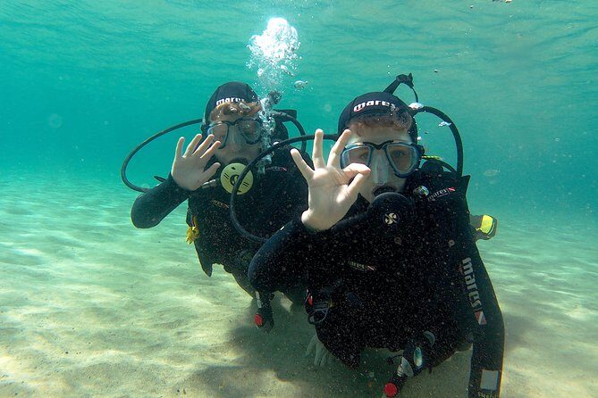 Scuba Diving (Basic Diver - 2 dives) - The Sum Up