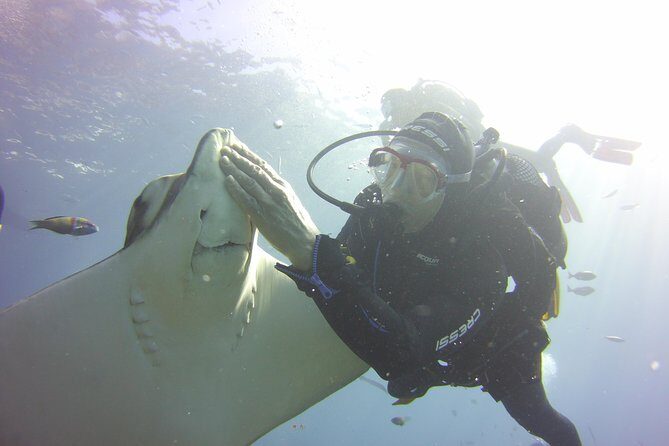 Scuba Diving Beginner's Session in Costa Adeje - What’s the Experience Really Like?