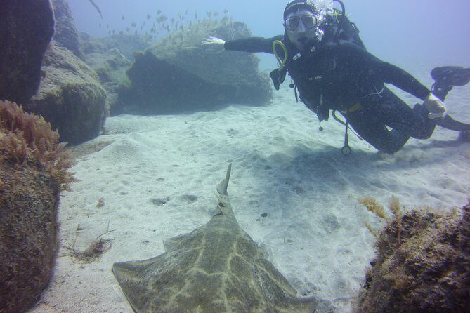 Scuba Diving Beginner's Session in Costa Adeje - Frequently Asked Questions